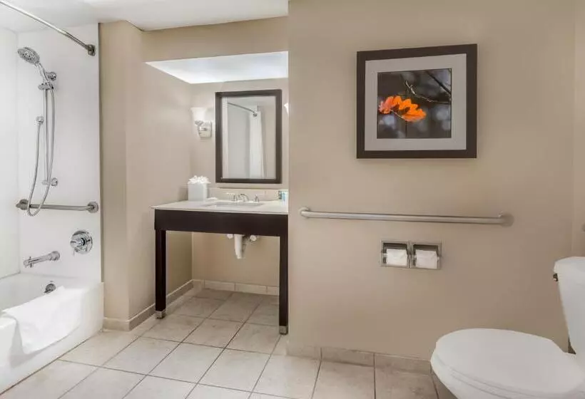 身障者適用キングサイズベッドルーム, Crowne Plaza Cleveland At Playhouse Square, An Ihg