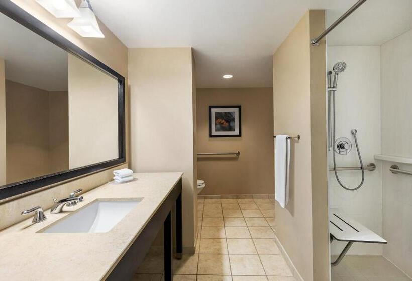 장애인을 위한 킹사이즈 침대 스탠다드 룸, Crowne Plaza Cleveland At Playhouse Square, An Ihg