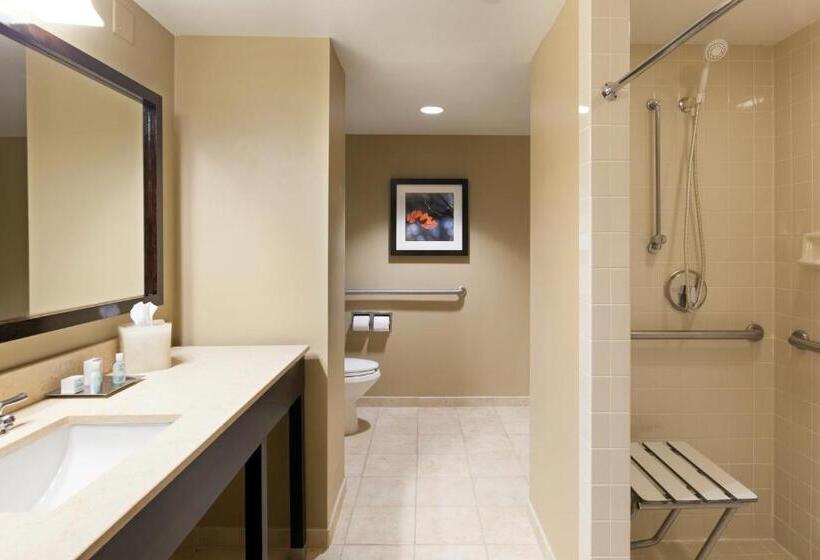 장애인을 위한 킹사이즈 침대 스탠다드 룸, Crowne Plaza Cleveland At Playhouse Square, An Ihg