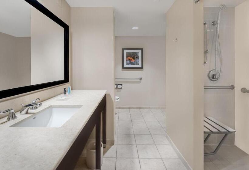 Номер Стандарт Кровать Кинг Адаптированный для Инвалидов, Crowne Plaza Cleveland At Playhouse Square, An Ihg