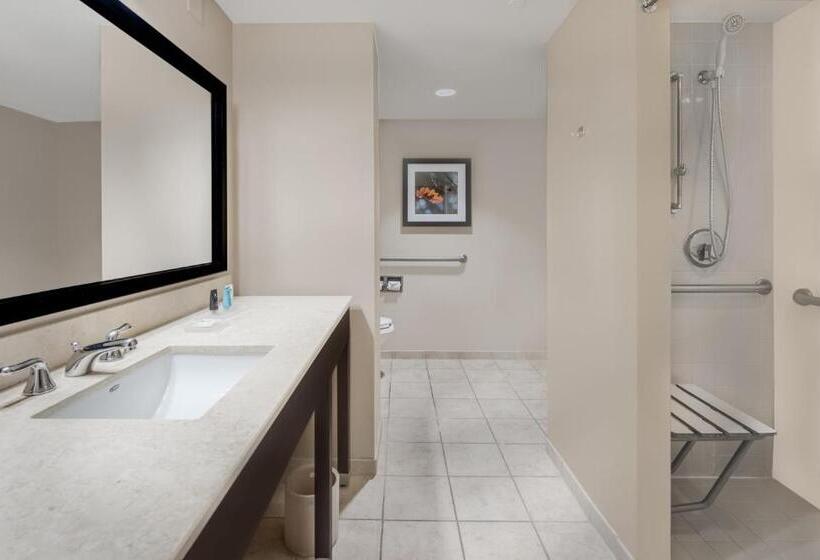 장애인을 위한 킹사이즈 침대 스탠다드 룸, Crowne Plaza Cleveland At Playhouse Square, An Ihg