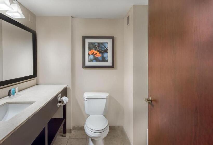 스탠다드 룸 킹사이즈 침대, Crowne Plaza Cleveland At Playhouse Square, An Ihg