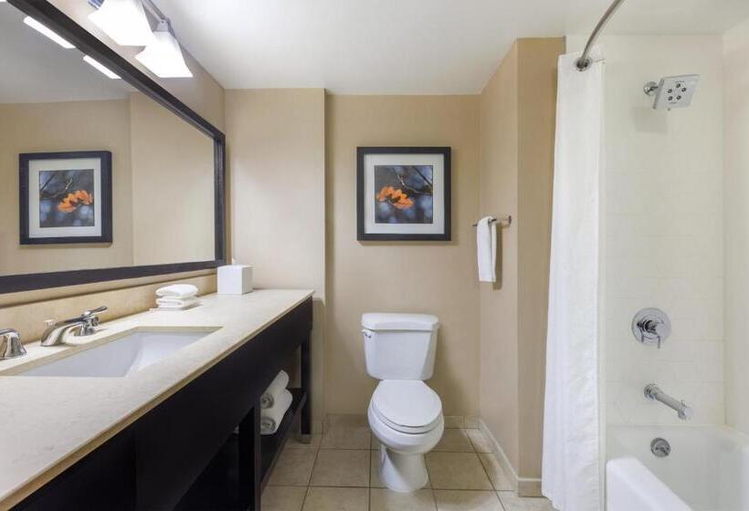 스탠다드 룸 킹사이즈 침대, Crowne Plaza Cleveland At Playhouse Square, An Ihg