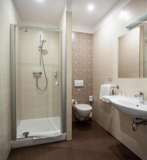 اتاق استاندارد یک نفره, Cēsis