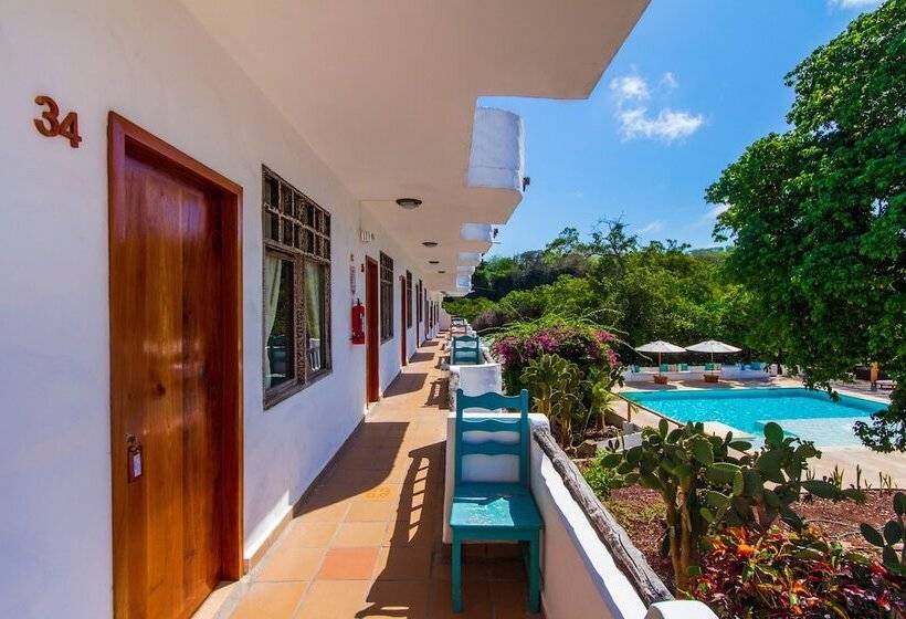 اتاق استاندارد یک نفره, Fiesta