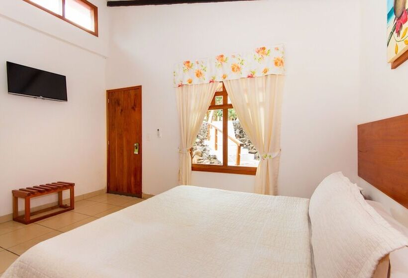 اتاق استاندارد یک نفره, Fiesta