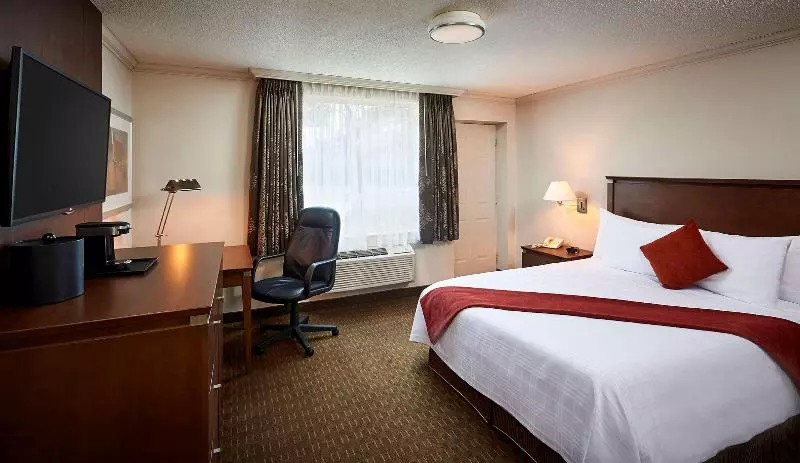 اتاق راحتی, Aktiv Hotel Schweizerhof Kitzbühel