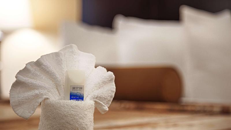 اتاق راحتی, Aktiv Hotel Schweizerhof Kitzbühel