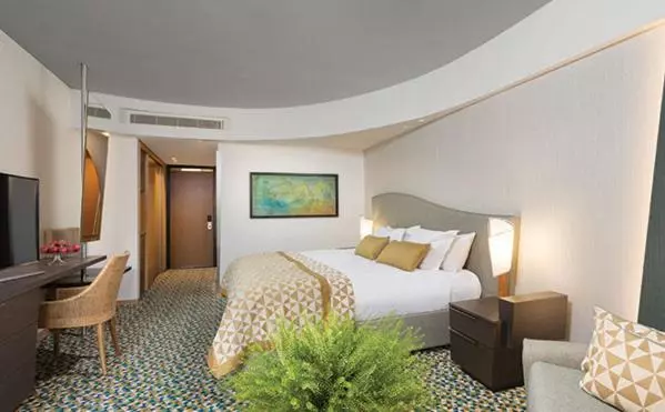 Standard Room, Dan Eilat