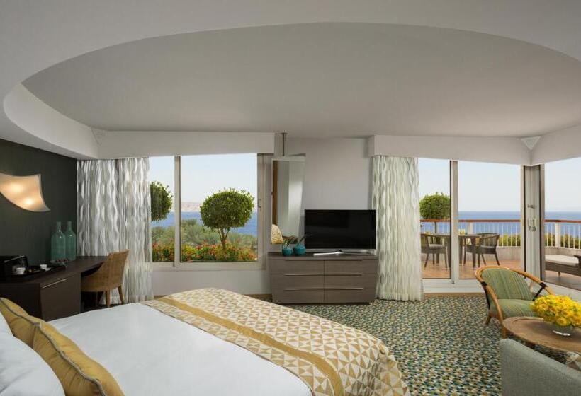 جناح مزود بتراس, Dan Eilat