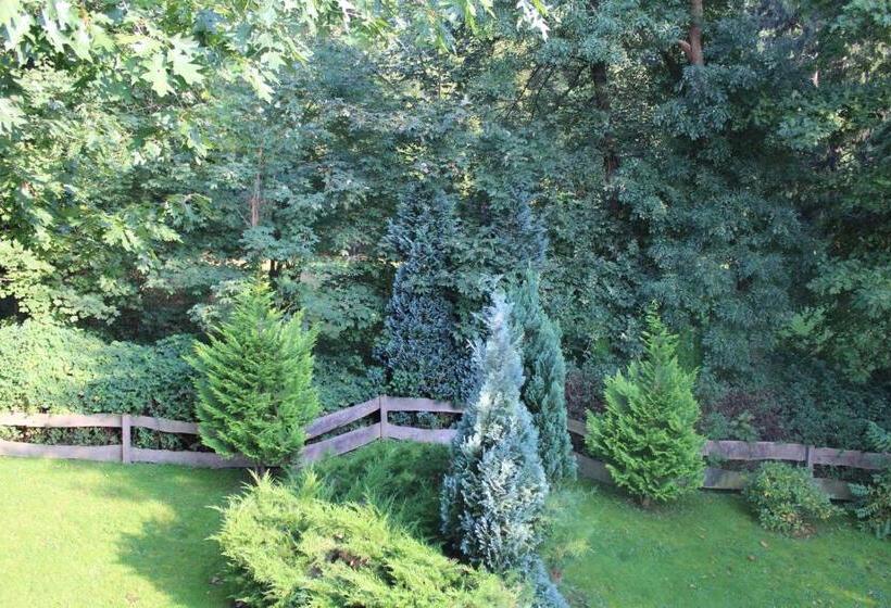 Номер Superior, Parkhotel Klüschenberg