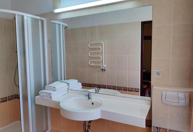 １ベッドルームアパートメント, żuławy