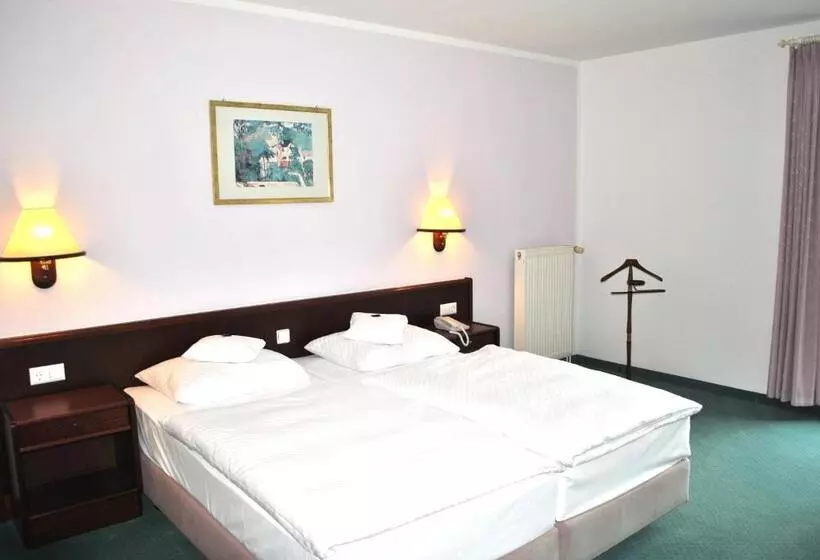 コンフォートルーム, Heidehotel Lubast