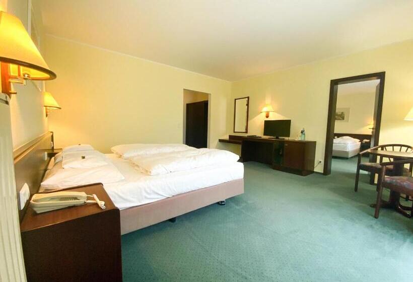 חדר סטנדרט, Heidehotel Lubast