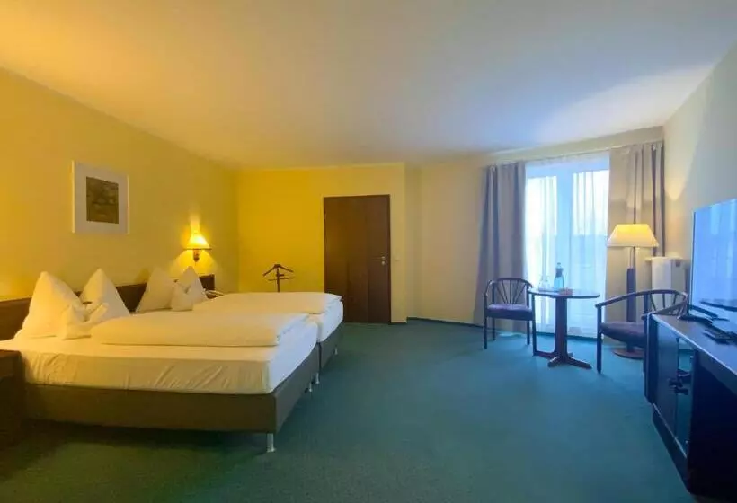 Comfort room with terrace, Heidehotel Lubast