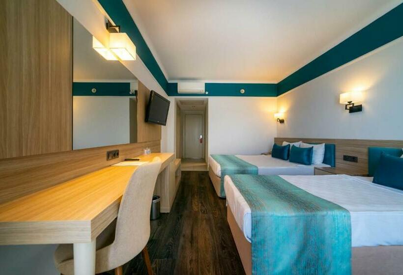 Quarto Estandar, Asteria Collection Side