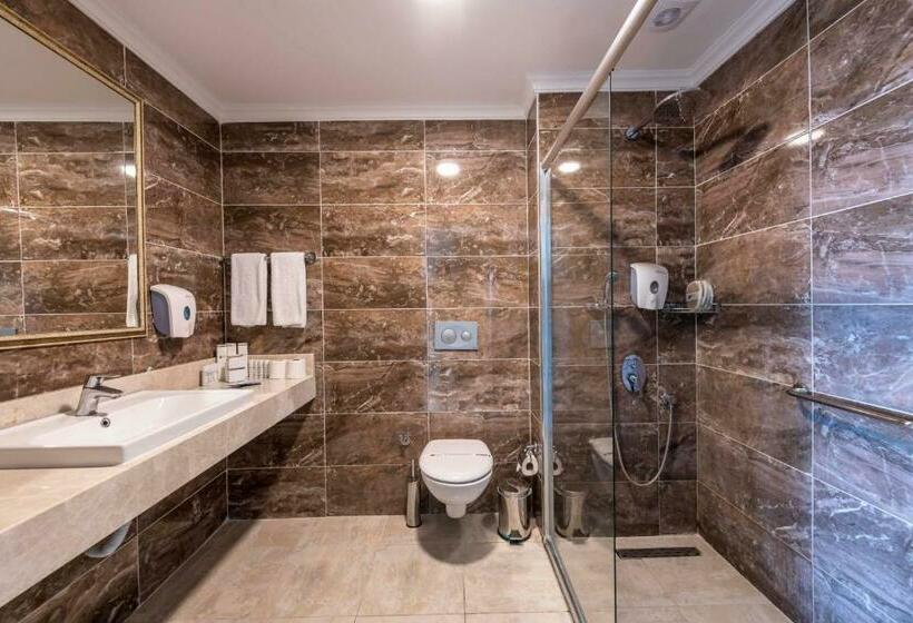 اتاق استاندارد با چشم‌انداز باغ, Asteria Collection Side