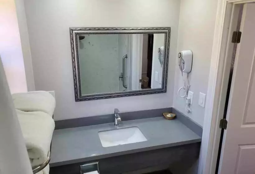 اتاق استاندارد با تخت بزرگ, Best Way Inn