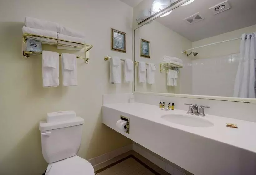 اتاق لوکس با چشمانداز شهر, Best Western Plus Pioneer Square Hotel Downtown