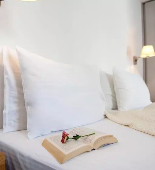 اتاق استاندارد یک نفره با چشم‌انداز دریا, Elena Hotel Mykonos