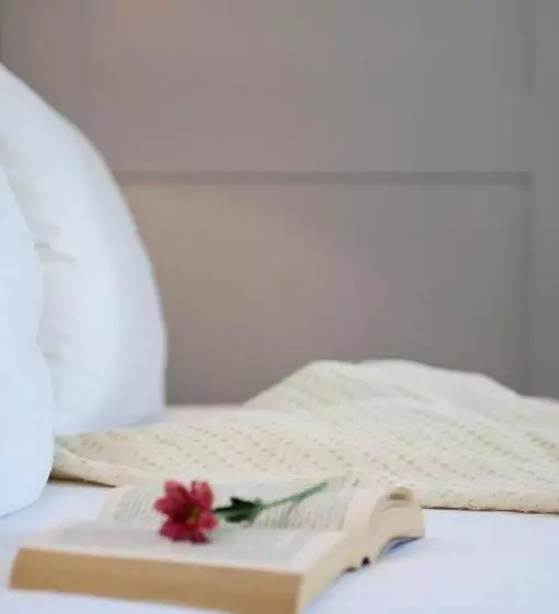 اتاق استاندارد یک نفره با چشم‌انداز دریا, Elena Hotel Mykonos