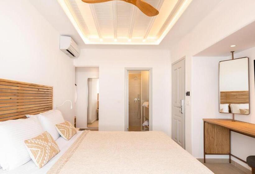 Полулюкс Повышенной Комфортности, Elena Hotel Mykonos