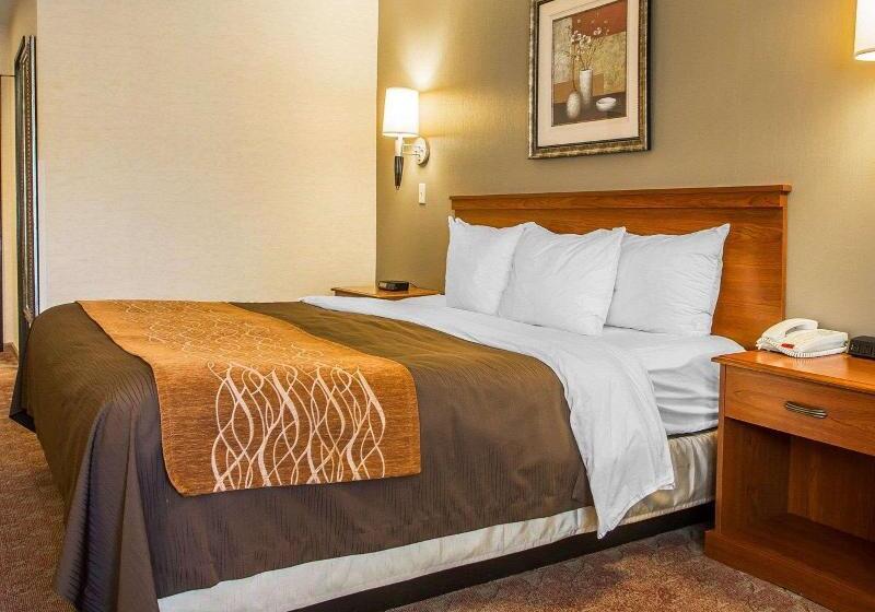 수피리어 룸, Maritim Hotel Ulm
