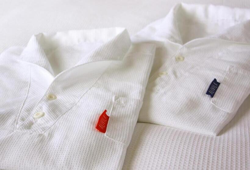 חדר סופריור עם טרסה, Nikko Alivila