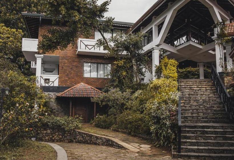 디럭스 룸, Tree Of Life Nature Resort