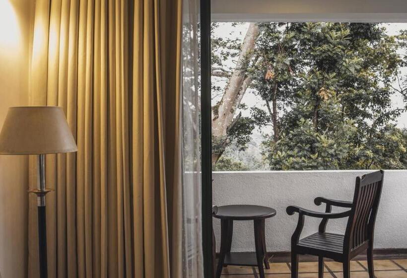 디럭스 룸, Tree Of Life Nature Resort