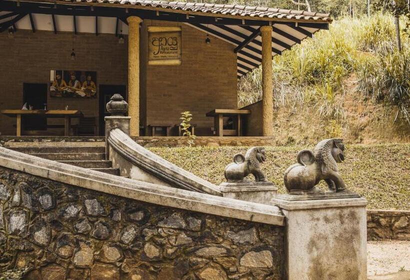 스탠다드 룸 가든 전망, Tree Of Life Nature Resort