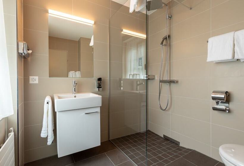 اتاق استاندارد, Trip Inn Zurich