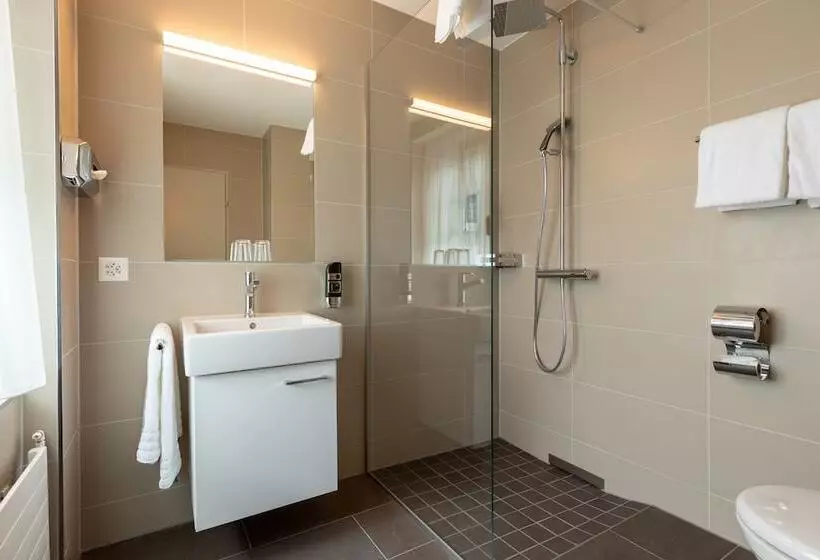 اتاق استاندارد, Trip Inn Zurich