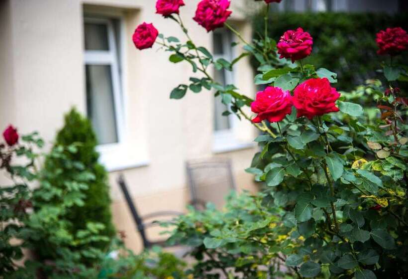 اتاق استاندارد, Club Hotel Cortina