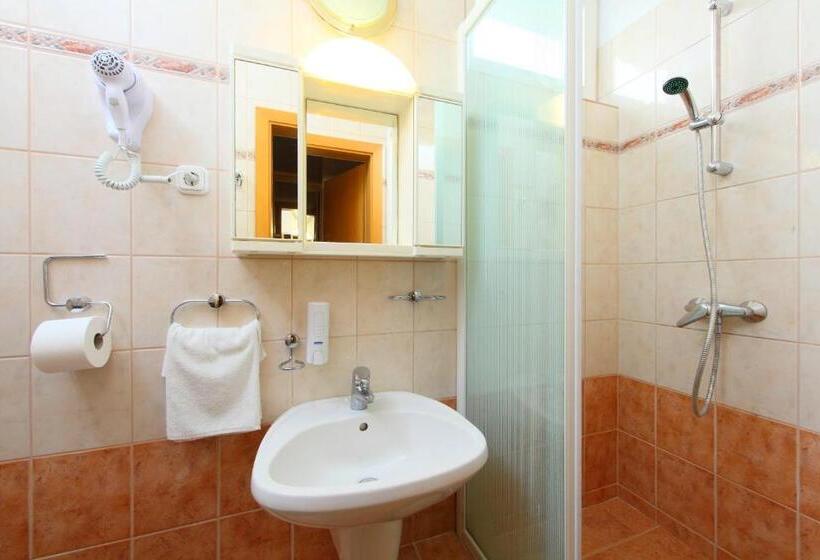 חדר סטנדרט יחיד, Blaha Lujza