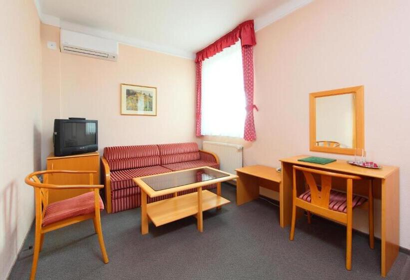 חדר סופריור, Blaha Lujza