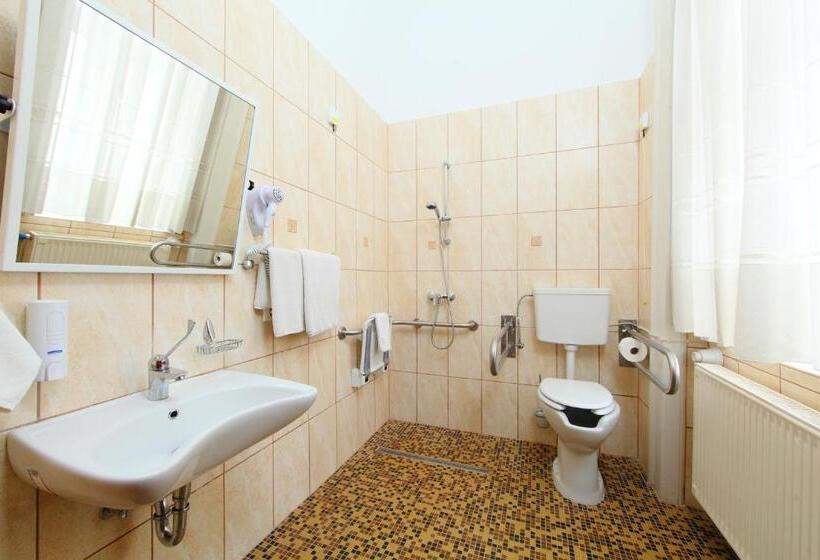 חדר סטנדרט מותאם לאדם עם מוגבלויות, Blaha Lujza