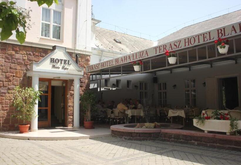 חדר סטנדרט מותאם לאדם עם מוגבלויות, Blaha Lujza