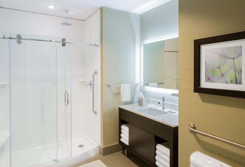 可观景的套房, The Hollis Halifax A Doubletree Suites By Hilton