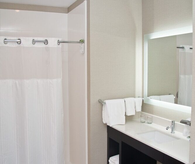 适合残疾人士使用的套间, The Hollis Halifax A Doubletree Suites By Hilton