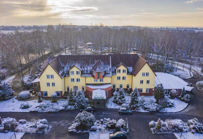 اتاق استاندارد یک نفره, Sylwia