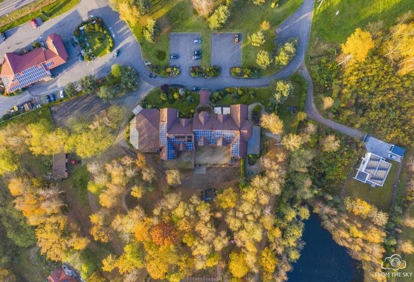 استودیوی استاندارد, Sylwia