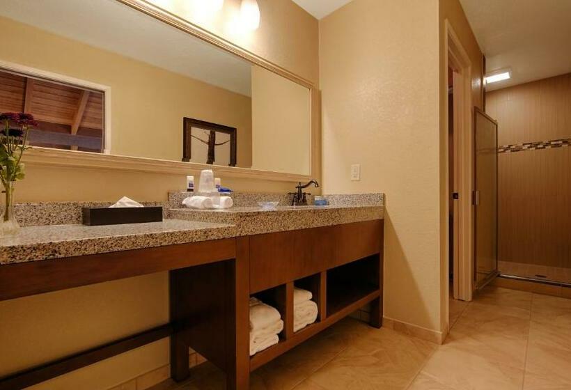 스탠다드 룸 킹사이즈 침대, Best Western The Inn & Suites Pacific Grove