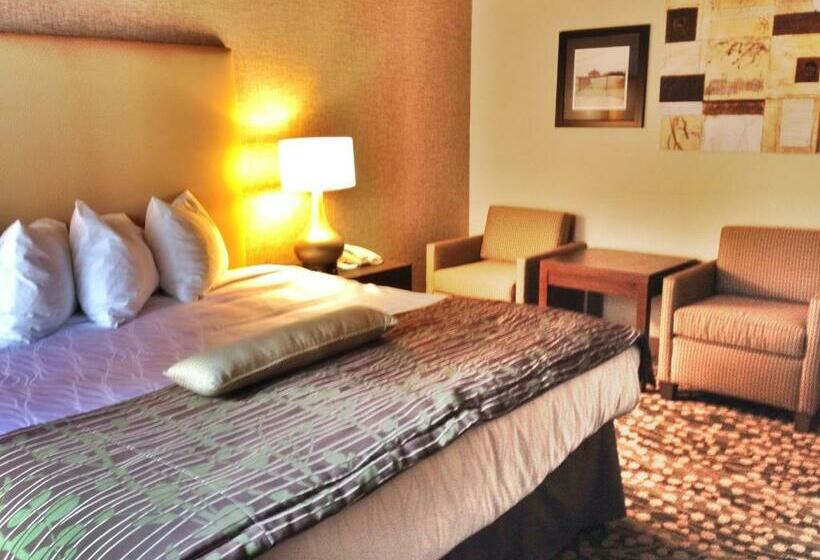 غرفة قياسية سرير كينج, Best Western The Inn & Suites Pacific Grove