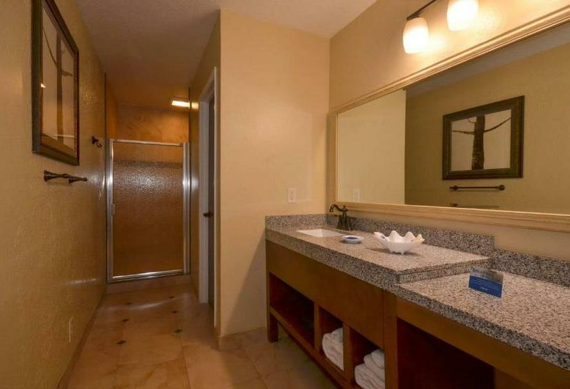 غرفة قياسية سرير كينج, Best Western The Inn & Suites Pacific Grove