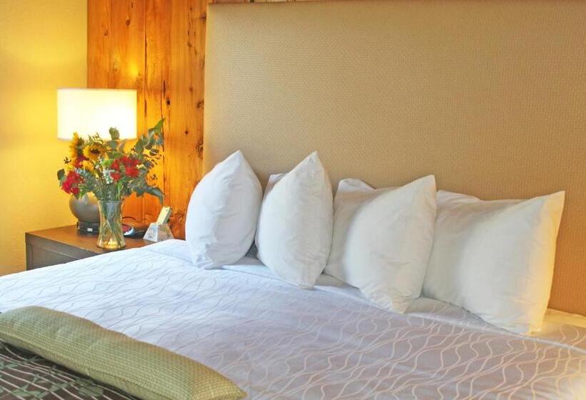 غرفة قياسية لذوى الاحتياجات الخاصة, Best Western The Inn & Suites Pacific Grove