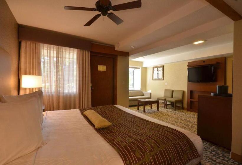 غرفة قياسية سرير كينج, Best Western The Inn & Suites Pacific Grove