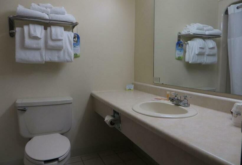 غرفة قياسية سرير كينج, Days Inn By Wyndham Alpena