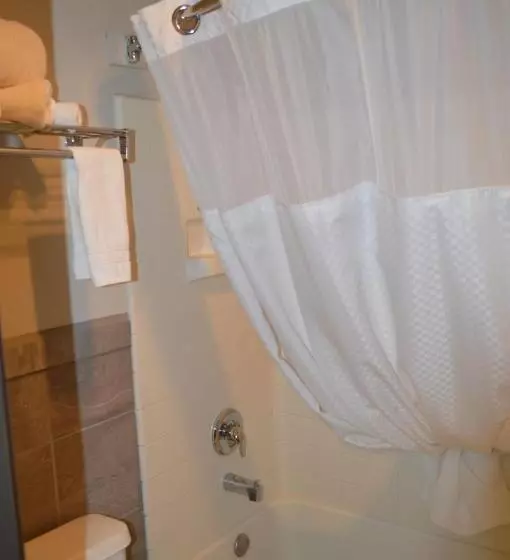 اتاق استاندارد با تخت بزرگ, Days Inn By Wyndham Carlsbad