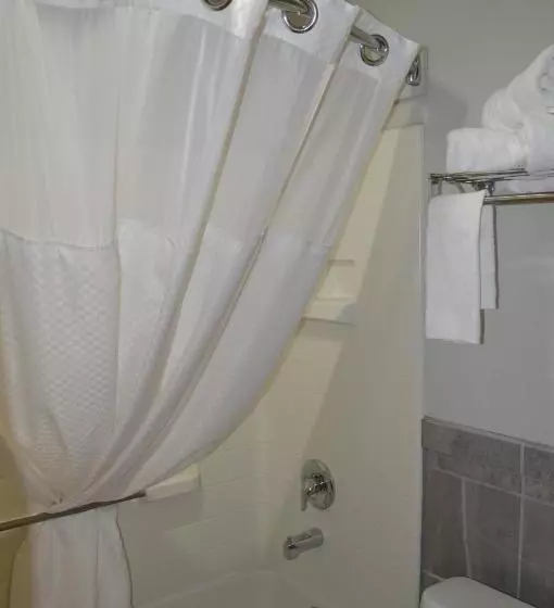 اتاق استاندارد با تخت بزرگ, Days Inn By Wyndham Carlsbad